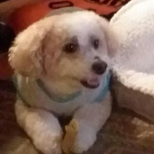 Meet your Posher, Terri